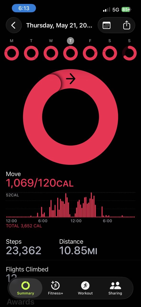Apple Health summary: 3,652 calories, 23,362 steps, 10.85 miles on May 21